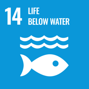 Logotype sustainable development goals number 14
