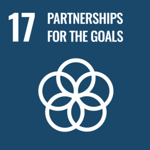 Logotype sustainable development goals number 17