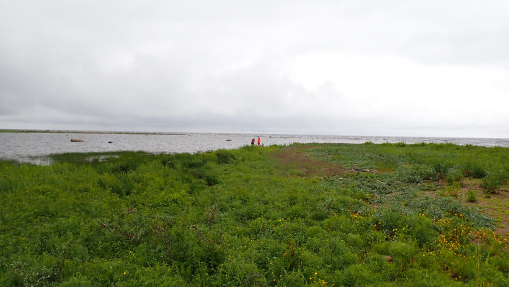 View of a bay on the island Sandskär