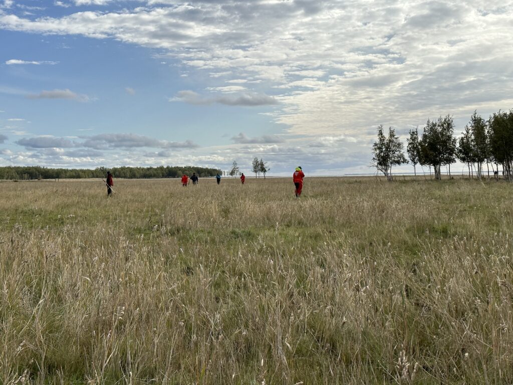 People in the distance walking on a coastal meadow.