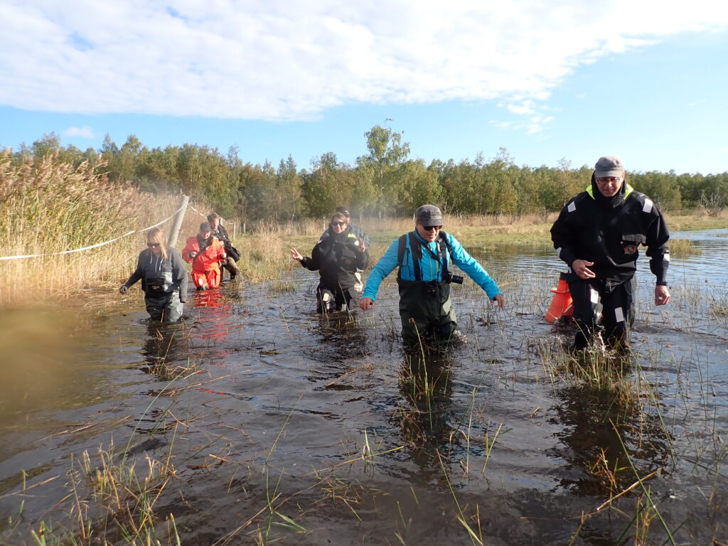 People wading in thigh-high water