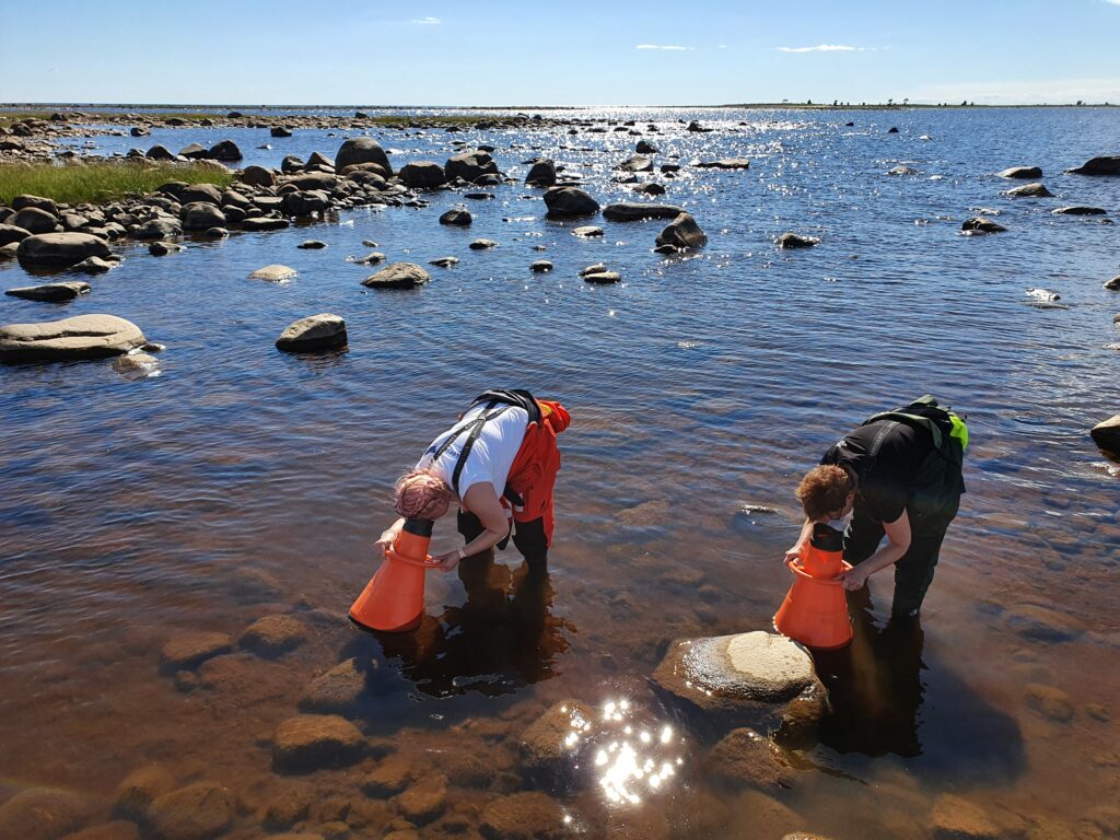 Two persons looking at the sea bottom using water binoculars