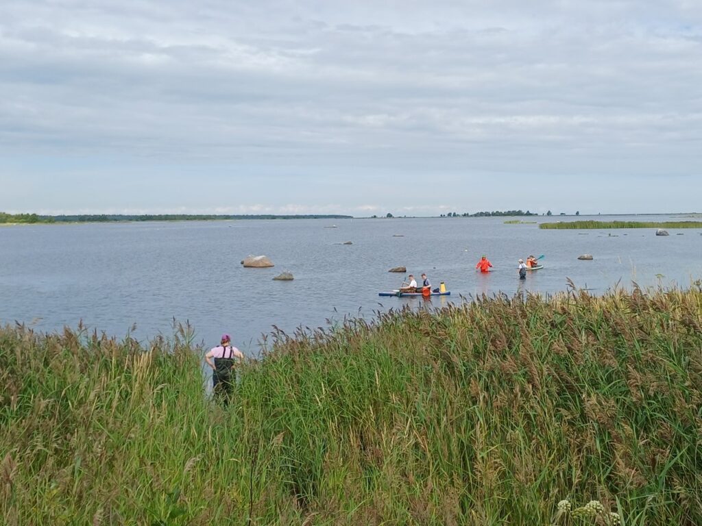 People wading in water near the shore