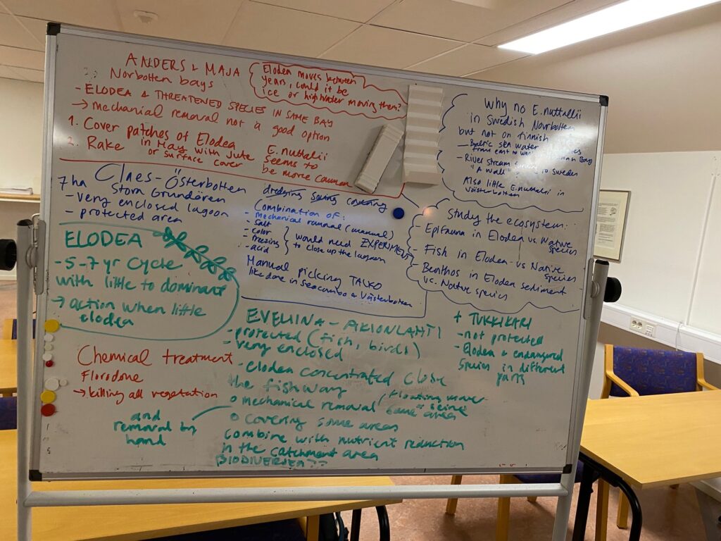Whiteboard with notes on